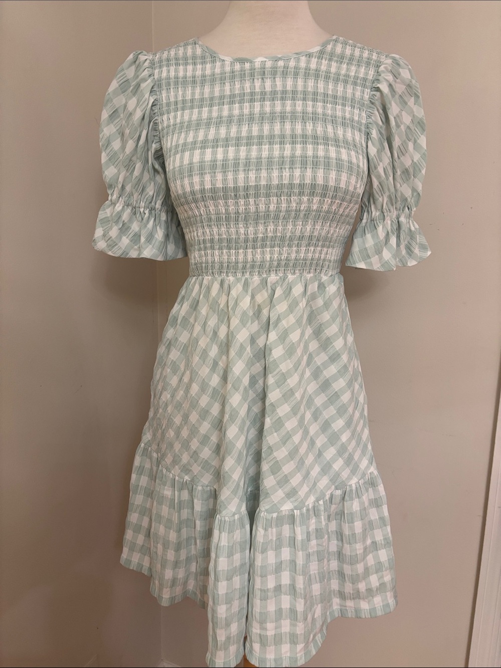 Tuckernuck Smocked Gingham Sussex Dress in Light Mint XS